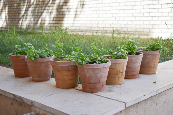  اقدامات پردیس امام سجاد(ع) در راستای اجرای طرح «فرصت مهر»
 8