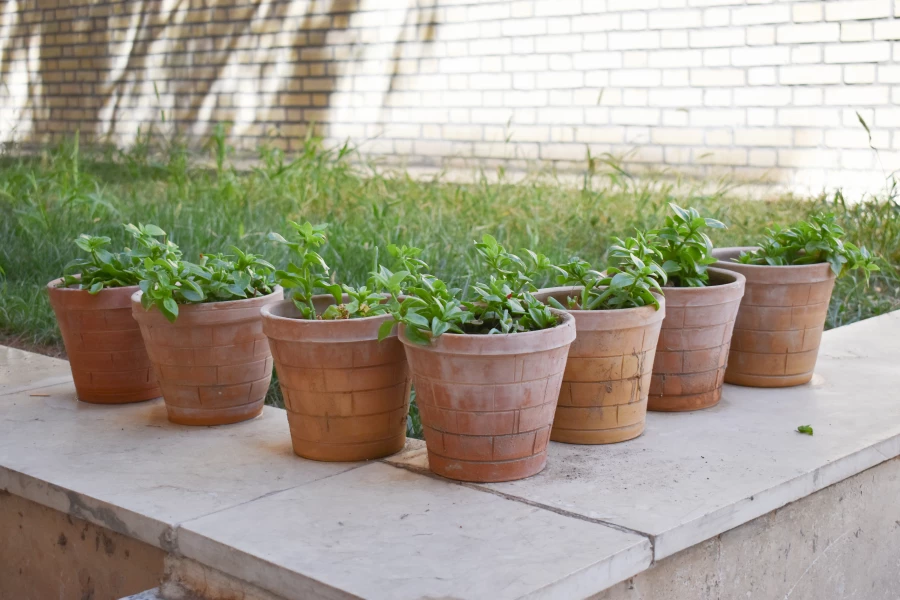  اقدامات پردیس امام سجاد(ع) در راستای اجرای طرح «فرصت مهر»
 8