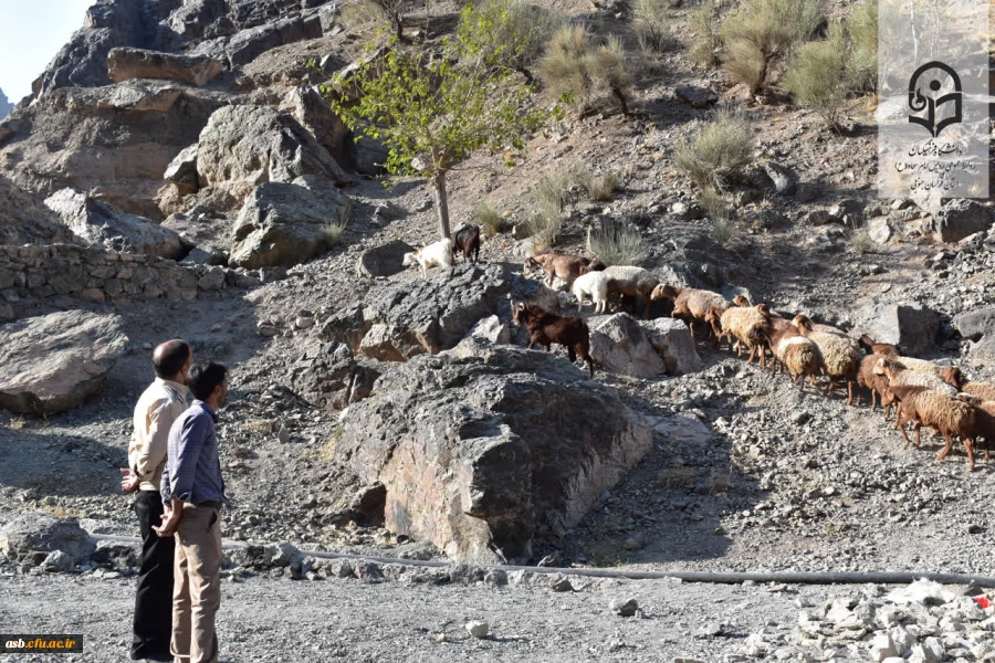 پیاده روی صبحگاهی به مناسبت هفته  تربیت بدنی 2