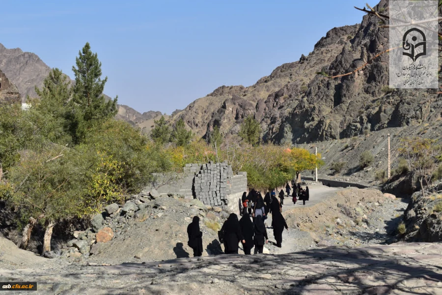 پیاده روی صبحگاهی به مناسبت هفته  تربیت بدنی 2