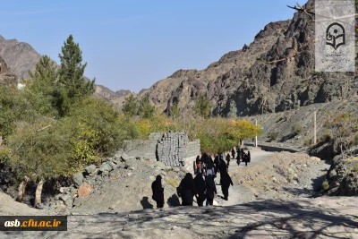 در هفته تربیت بدنی چه گذشت؟