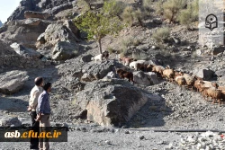 در هفته تربیت بدنی چه گذشت؟ 9