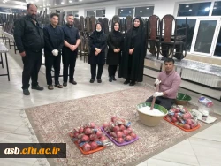 یلدای امسال با حضور و تلاش همکاران دانشگاه فرهنگیان ماندگار شد 4